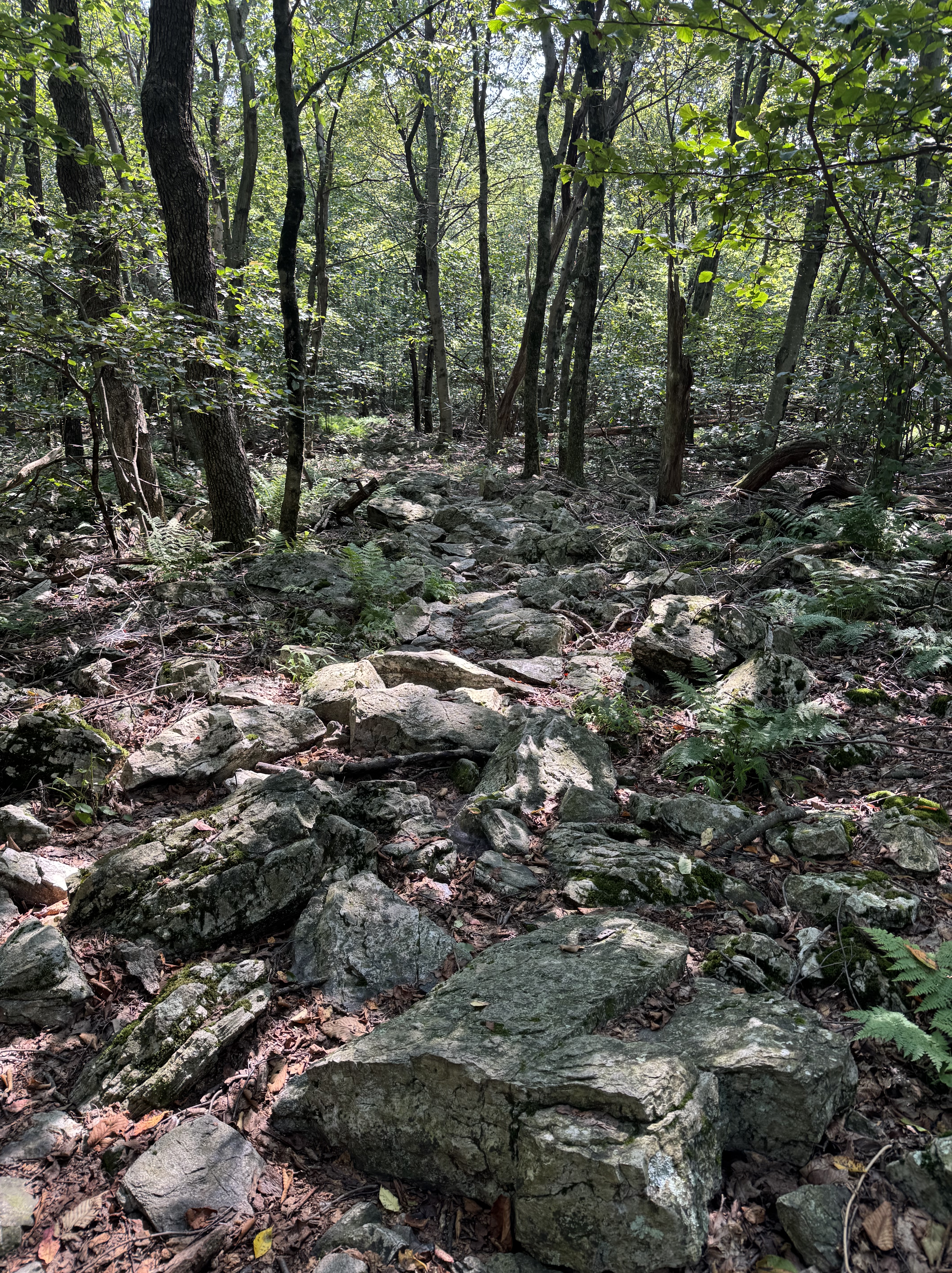 Our It Rocks Rocks. And more rocks. – Our selves, our souls and bodies